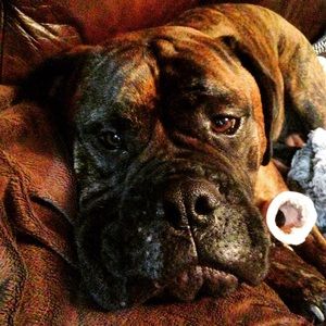 Meet your Posher, Belinda